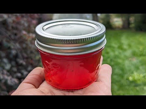 Видео: Желе из диких яблок с хлопьями чили (и меньшим количеством сахара)