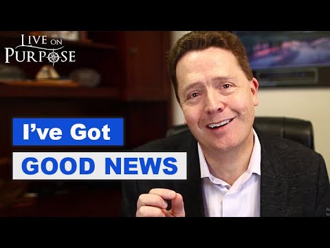 Видео: Как перестать защищаться — реакция «бей или беги»