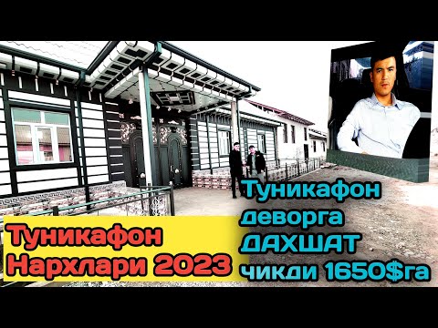 Видео: Tunikafon narxlari 2023 Уйни деворига Туникафон килдик Ко'риб бахо беринг