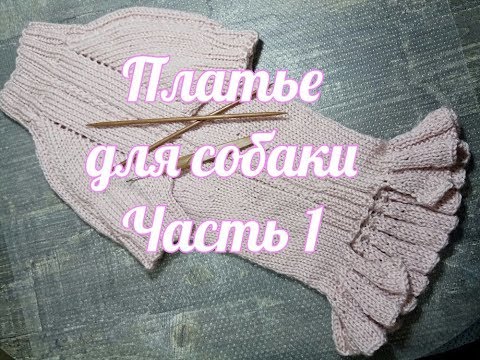 Видео: Платье для собаки, Часть 1
