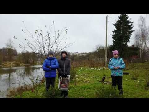 Видео: г.Кашин,  река  -  в ноябре.