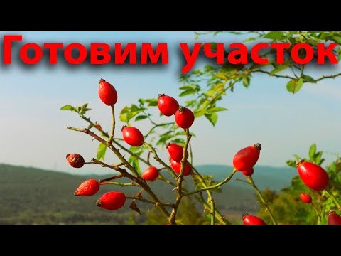 Видео: Купили землю в Сочи. Готовим участок под строительство.