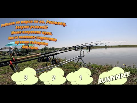 Видео: Риболов на ШАРАН на яз. Рашовец. Най яките РЪНОВЕ. CARP fishing at Rashovets Dam. The coolest RUN.