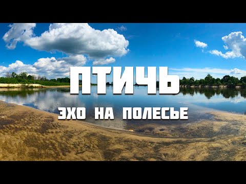 Видео: Птичь от истока до устья (ч. 10)