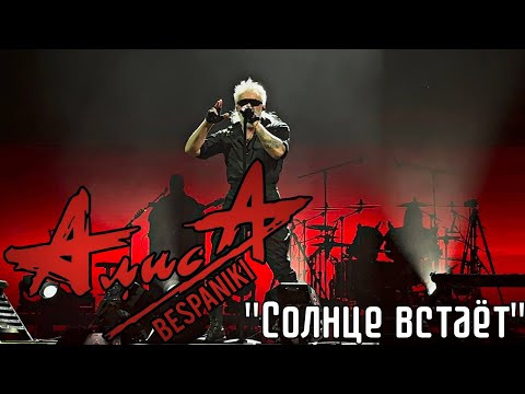 Видео: 05.09.25 - АлисА - "Солнце встаёт" - KkinchevFest - МУЗПОРТ