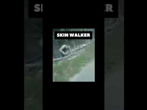 Видео: КТО ТАКИЕ СКИН-ВОЛКЕРЫ 😱⁉️#skinwalker