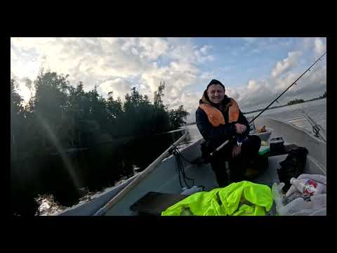 Видео: Рыбалка в Карелии