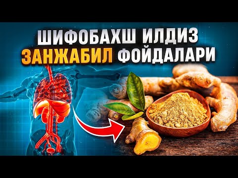 Видео: Шифобахш илдиз - занжабил фойдалари | Доктор Гулбаҳор
