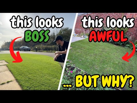 Видео: Почему некоторые газоны начинают портиться осенью и почему это нормально — Ноябрьский обзор газонов
