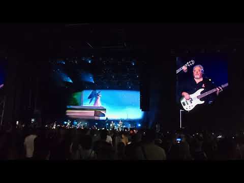 Видео: Кино спокойная ночь