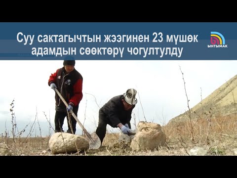 Видео: Токтогул суу сактагычында суу азайып, АДАМДАРДЫН СӨӨКТӨРҮ ЧЫГЫП ЖАТАТ | #Ынтымак