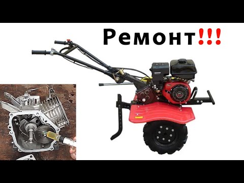Видео: Ремонт сборка китайского двигателя лифан 6.5 л.с. от мотоблока Зубр GN-4