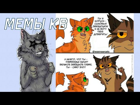 Видео: ОЗВУЧКА ПРИКОЛОВ ПО КОТАМ - ВОИТЕЛЯМ! // #warriorcats #котывоители #galaxycat  #кв #приколы