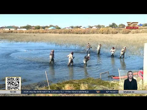 Видео: Қызылорда облысында тауарлы балық шаруашылығы көбейді