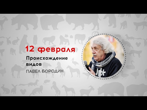 Видео: Неделя Дарвина. Павел Бородин. Происхождение видов. Трансляция