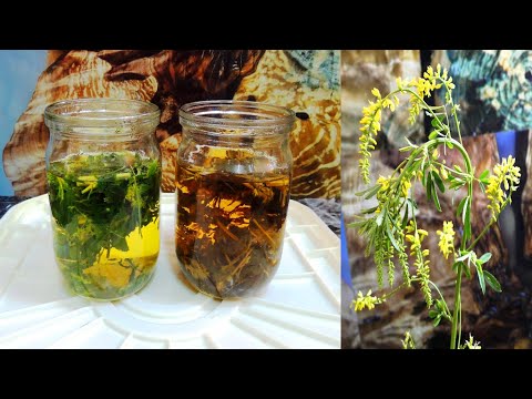 Видео: Донник 🌾 желтый - против тромбозов. Простой и ферментированный, в народной и официальной медицине.