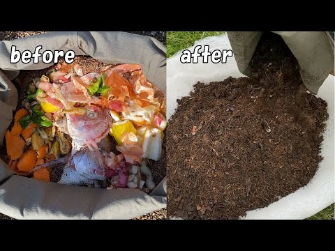 Видео: Как сделать компост из кухонных отходов, который хорошо выращивает растения