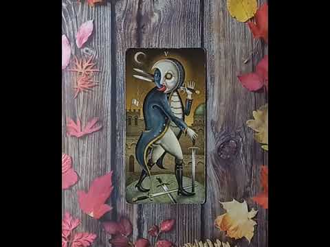 Видео: Для начинающих.Таро безумной луны.Пятерка Мечей