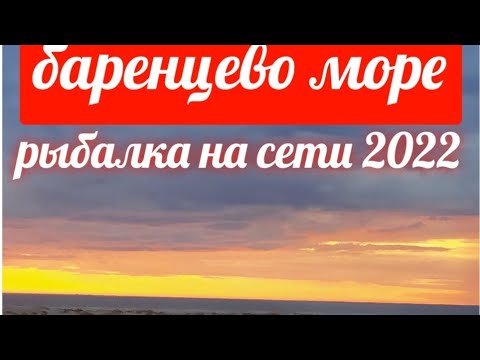 Видео: Баренцево море рыбалка на сети.