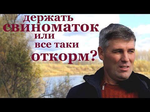 Видео: свиноматки !или свиньи на откорм?выгодно ли свиноводство.