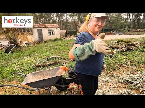 Видео: ФРУКТЫ и КЛЕТЧАТКА – здоровый образ жизни на свежем воздухе на нашей португальской ферме EP101