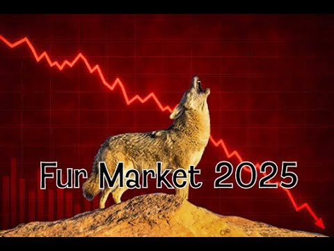 Видео: Цены на мех в 2025–2026 годах (Обзор рынка меха)