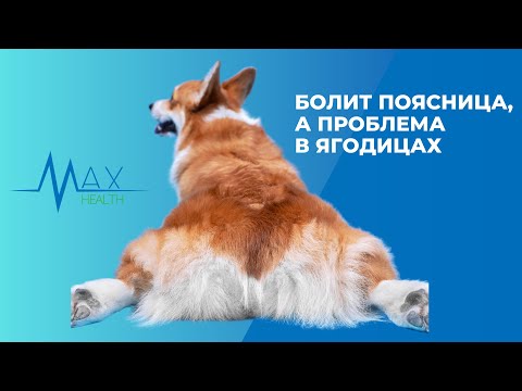 Видео: Все проблемы из-за них 