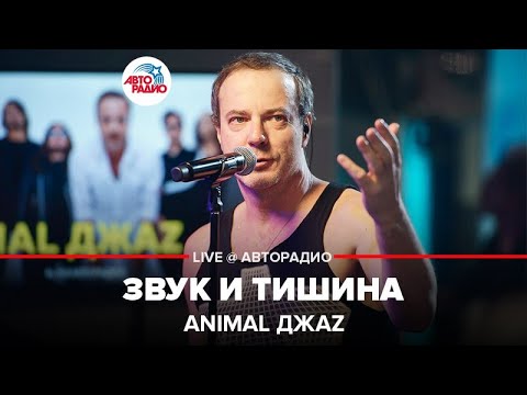 Видео: Animal ДжаZ - Звук и Тишина (LIVE @ Авторадио)
