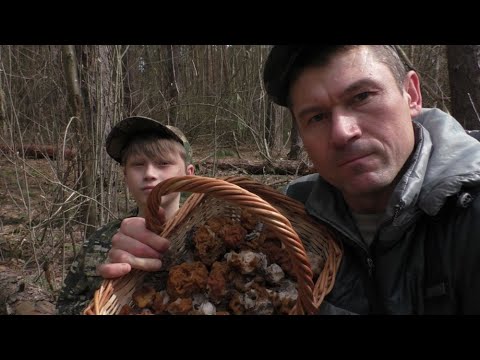 Видео: ПО ГРИБЫ В ЛЕС ЗА ВЕСЕННИМИ ГРИБАМИ! Набрали ПОЛНУЮ КОРЗИНУ ГРИБОВ!