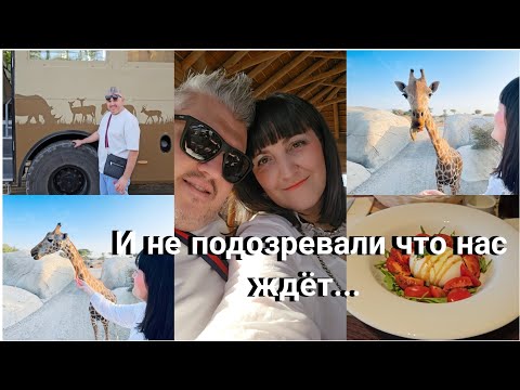 Видео: ВЛОГ 🇩🇪🇦🇪: ЭМОЦИИ переполняют / Африканское САФАРИ в Эмиратах / Отметили день СВАДЬБЫ /  Отпуск ОАЭ