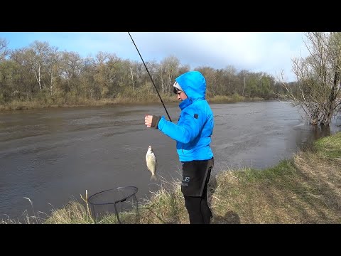 Видео: Клевало Так что Наловит и Новичок. Рекордный Улов