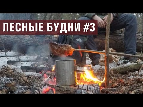 Видео: Вылазка в Лес // ТРЕКИНГ, МЫСЛИ, ЕДА