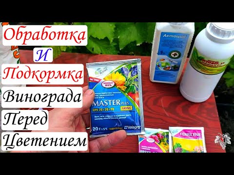 Видео: Не забудьте обработать виноград перед цветением!!!