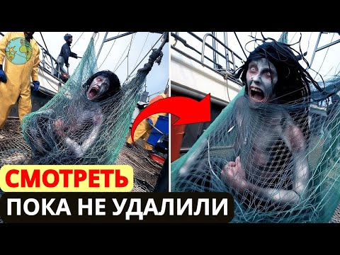 Видео: Никто не верил, пока не сняли: рыбаки поймали странное существо - Документальный фильм