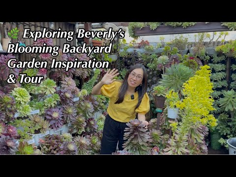 Видео: Просто прекрасный день в саду Беверли/Succulent Chat & Tour