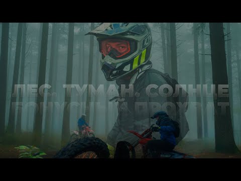 Видео: Внеплановый прохват | Лес. Туман. Солнце. hengjian 250