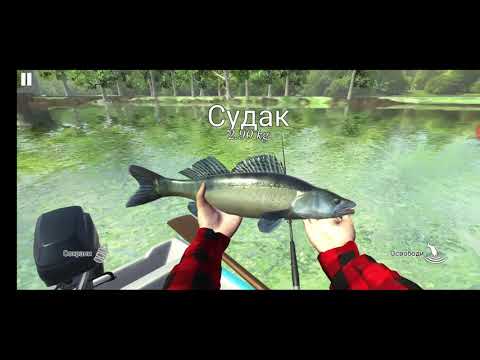 Видео: Прохождение игри Ultimate Fishing Simulator   поймал карпа на 20 кг#