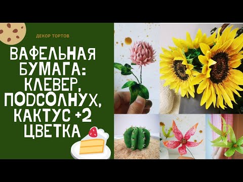 Видео: Цветы из вафельной бумаги. Клевер, подсолнух, кактус. Wafer flowers. Clover, sunflower, cactus.