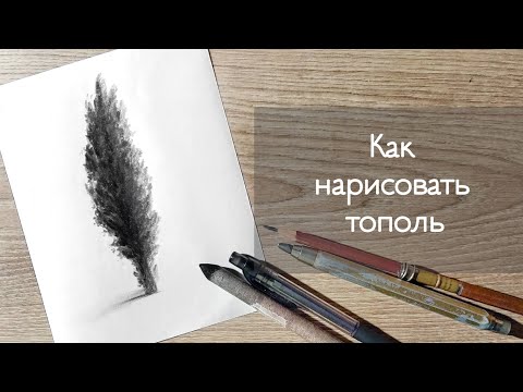Видео: УРОК 5 - КАК ЛЕГКО НАРИСОВАТЬ ТОПОЛЬ | Нарисовать тополь шаг за шагом !
