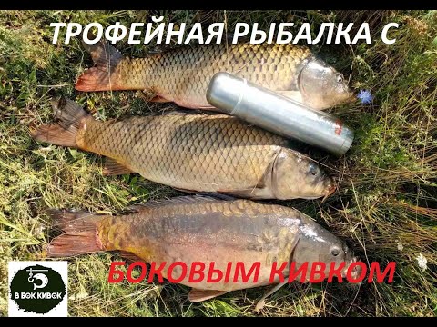 Видео: Это просто супер рыбалка!!! Трофейная рыбалка с боковым кивком на шикарном водоёме.