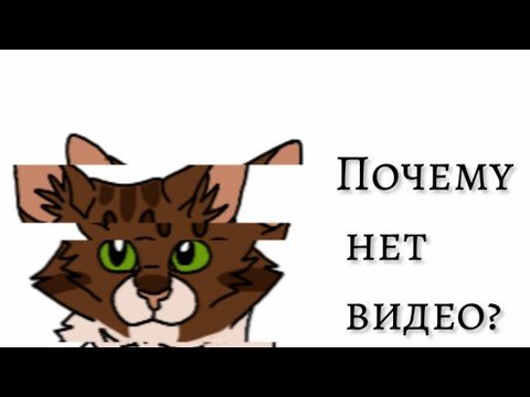 Видео: Почему нет видео