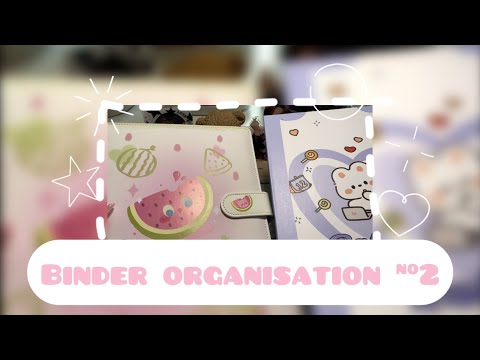 Видео: Организация биндеров | Binder organisation #straykids #txt #tws