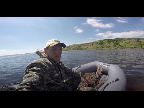 Видео: Комплект лодка Фрегат 310 Air и мотор Фрегат T5BMS на рыбалке!
