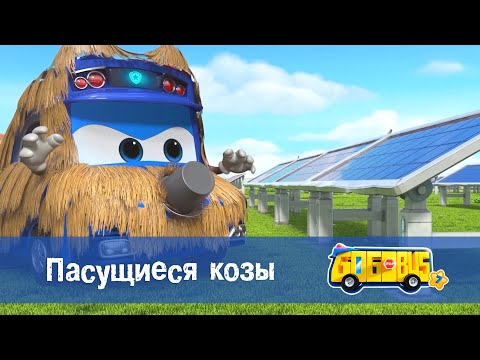 Видео: 🚌Школьный автобус Гордон. Сезон 7 - Серия 6.Пасущиеся козы - Мультфильм