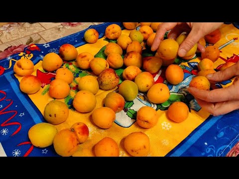 Видео: Как заморозить абрикосы в морозильной камере ?
