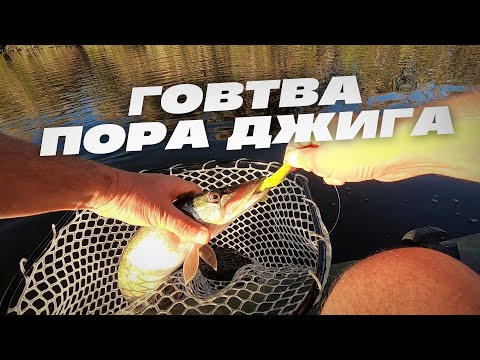 Видео: Говтва  Пора джига