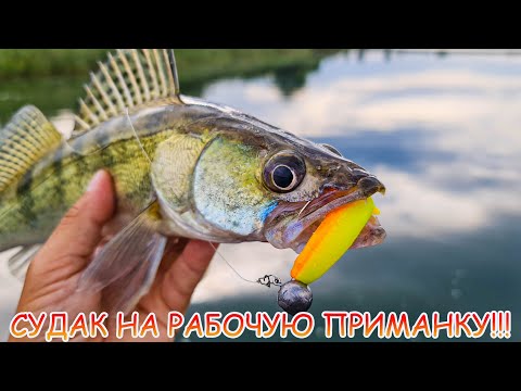 Видео: Судак на РАБОЧУЮ приманку! Рыбалка на джиг с лодки!