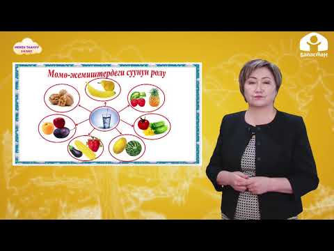 Видео: МЕКЕН ТААНУУ 3-класс / Топурактын түзүлүшү жана курамы / ТЕЛЕСАБАК 19.02.21