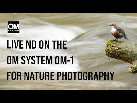 Видео: Фотосъемка Диппера с использованием режима Live ND на системе OM OM-1