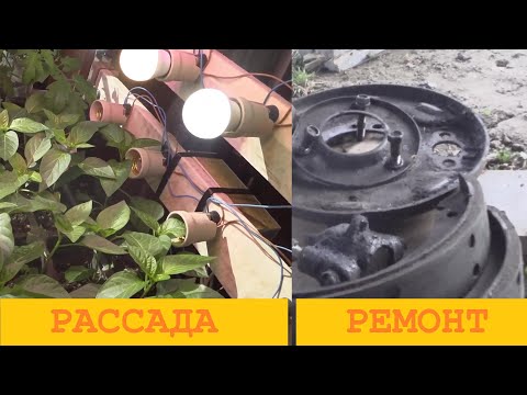 Видео: 2025.Апрель. Рассада растёт, УАЗ ремонтируется